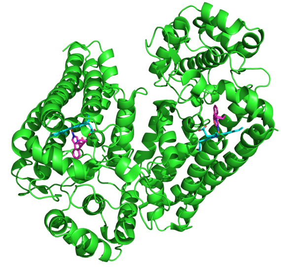 IDO crystal structure IDO crystal structure