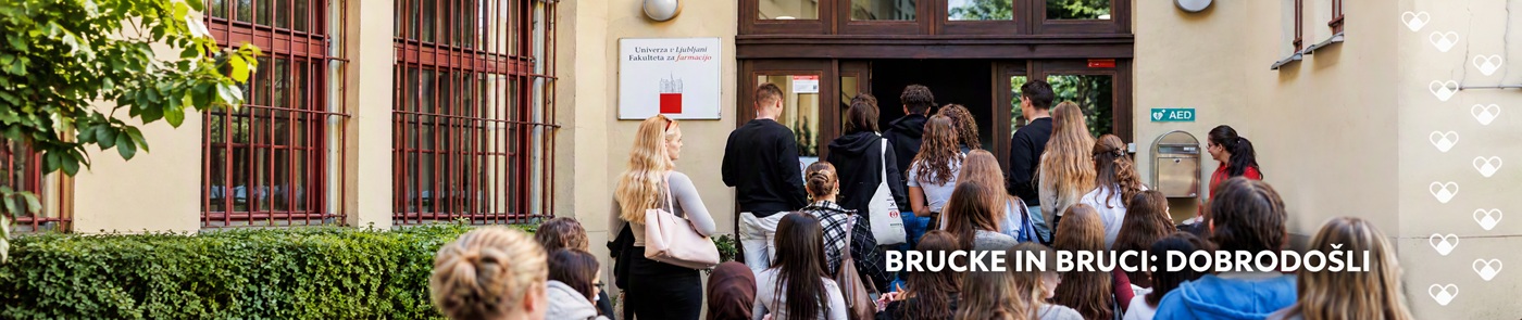 baner_brucke_in_bruci