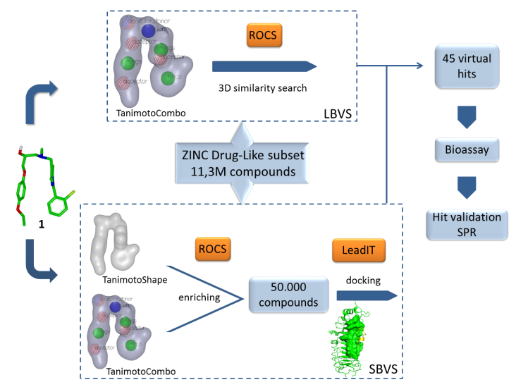 Design of TLR antagonists