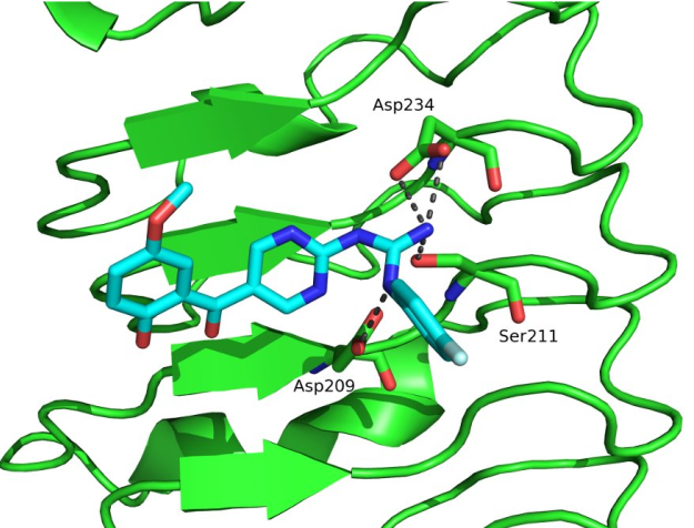 Docking of TLR4 antagonist Docking of TLR4 antagonist