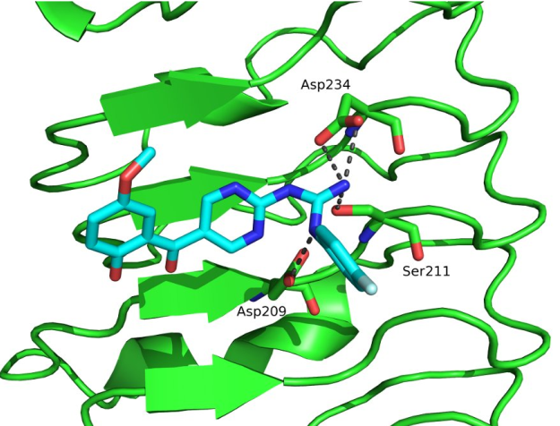 Docking of TLR4 antagonist