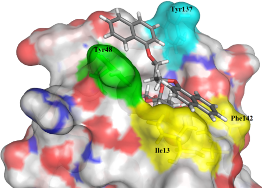 FimH in complex with antagonist