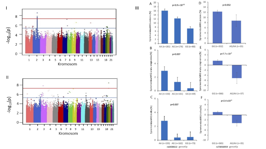 histogram_1_2 histogram_1_2