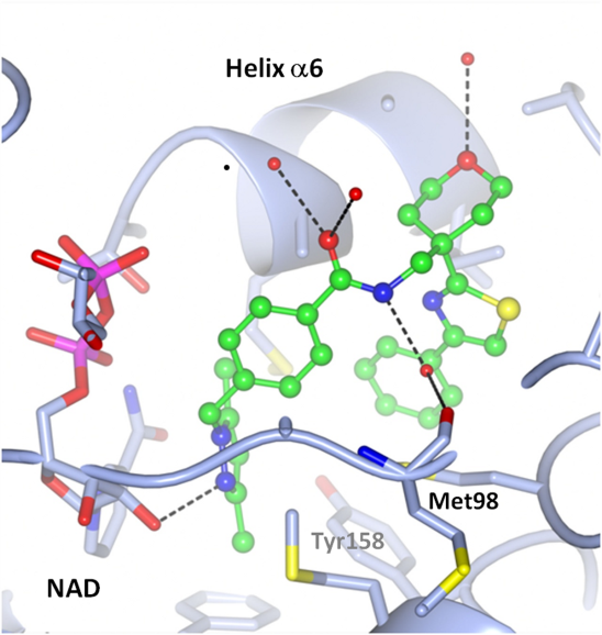 InhA crystal structure InhA crystal structure
