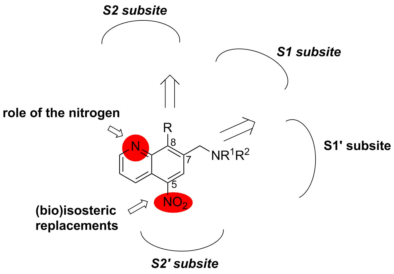 Nitroxoline modifications