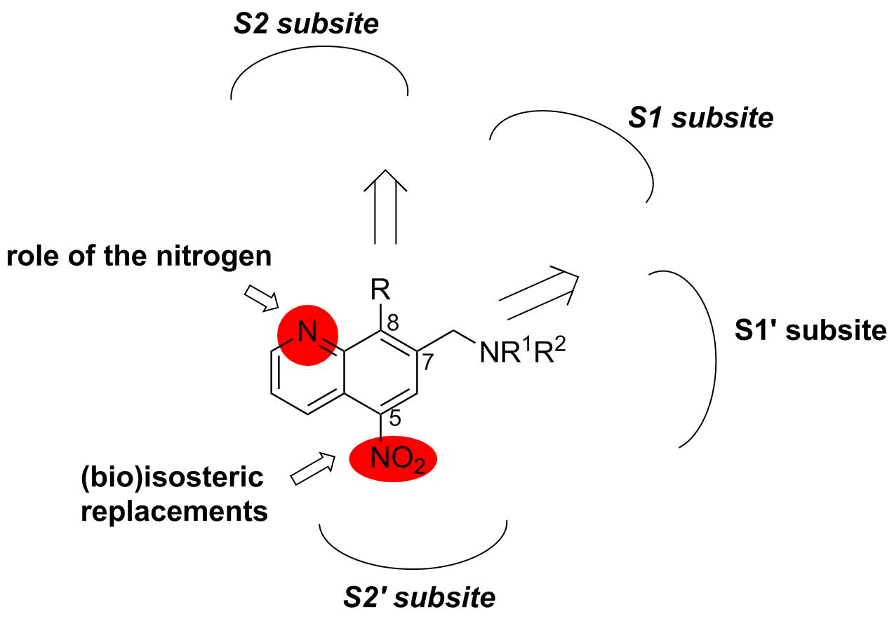 Nitroxoline modifications Nitroxoline modifications
