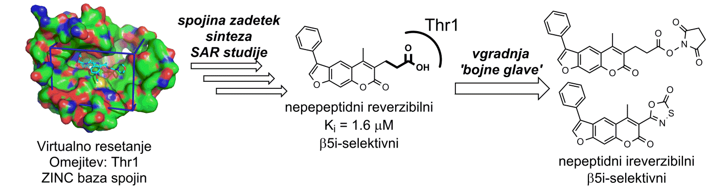 Razvoj selektivnih zaviralcev imunoproteasoma