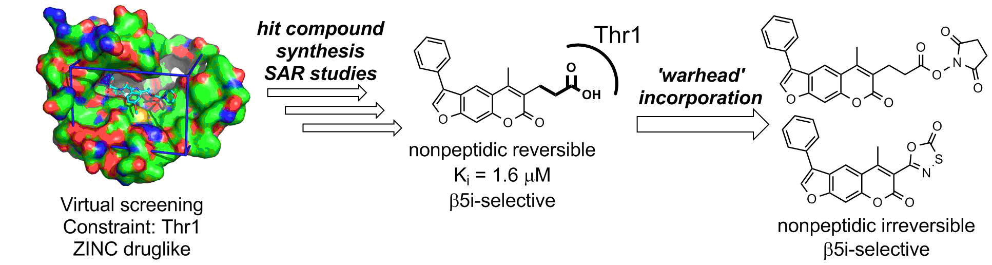 Selective inhibitors of immunoproteasome