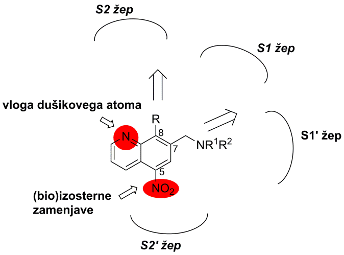 Strukturne modifikacije nitroksolina Strukturne modifikacije nitroksolina